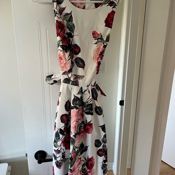 New with tags vintage print rose dress. - Picture 1 of 5